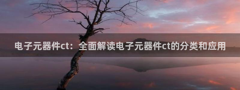 电子元器件ct：全面解读电子元器件ct的分类和应用