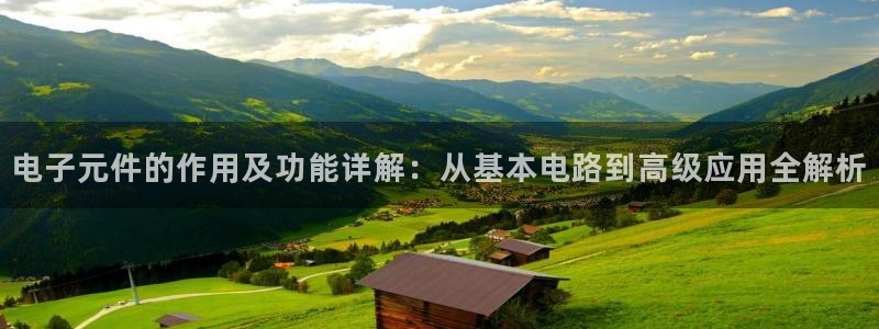 电子元件的作用及功能详解：从基本电路到高级应用全解析