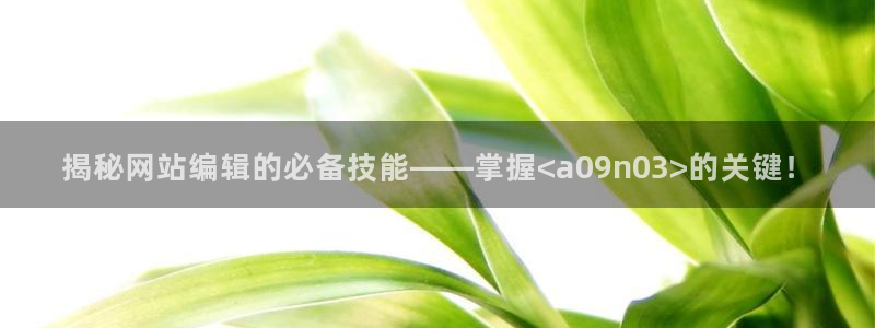 揭秘网站编辑的必备技能——掌握<a09n03>的关键！