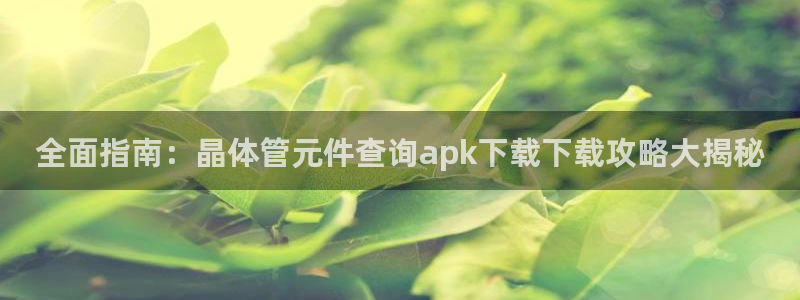 全面指南：晶体管元件查询apk下载下载攻略大揭秘