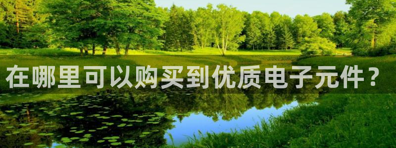 pg电子游戏模拟器免费网址：在哪里可以购买到优质电子元件？