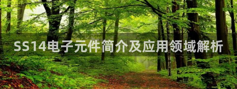 pg电子有官方网站吗安全吗：SS14电子元件简介及应用领域解析