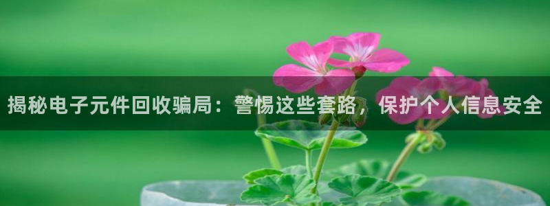 pg电子欣ly79,cn：揭秘电子元件回收骗局：警惕这些套路，保护个人信息安全