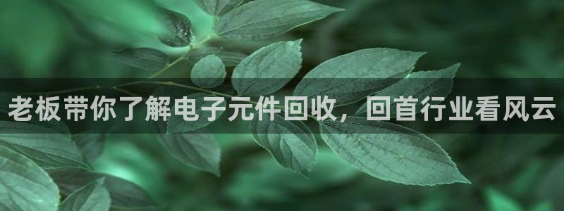国际pg电子：老板带你了解电子元件回收，回首行业看风云
