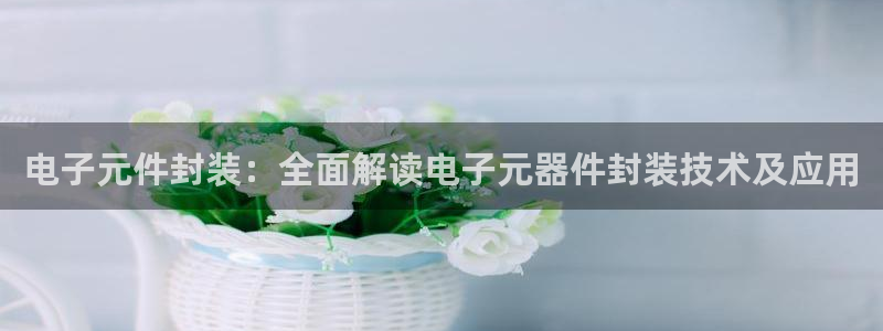 pg模拟器：电子元件封装：全面解读电子元器件封装技术及应用