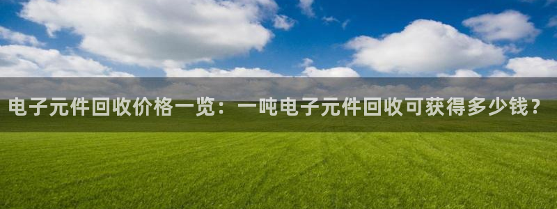 pg电子模拟器安卓版下载：电子元件回收价格一览：一吨电子元件回收可获得多少钱？