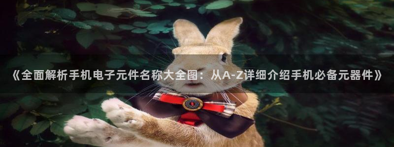 pg电子ng28：《全面解析手机电子元件名称大全图：从A-Z详细介绍手机必备元器