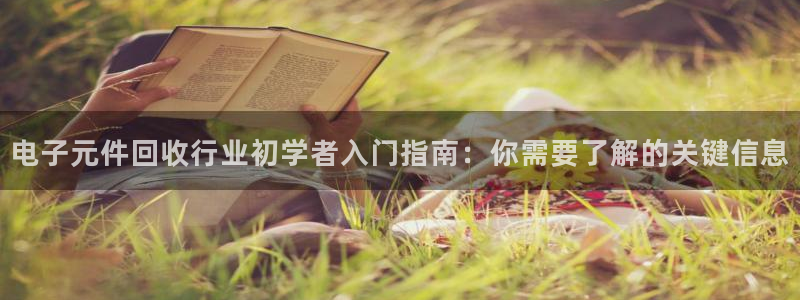 pg电子平台有哪些