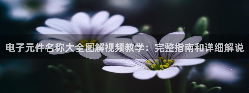 pg电子游戏破解版网页：电子元件名称大全图解视频教学：完整指南和详细解说
