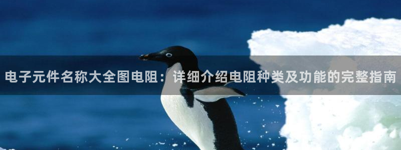 pg电子游戏a600丶cc：电子元件名称大全图电阻：详细介绍电阻种类及功能的完整