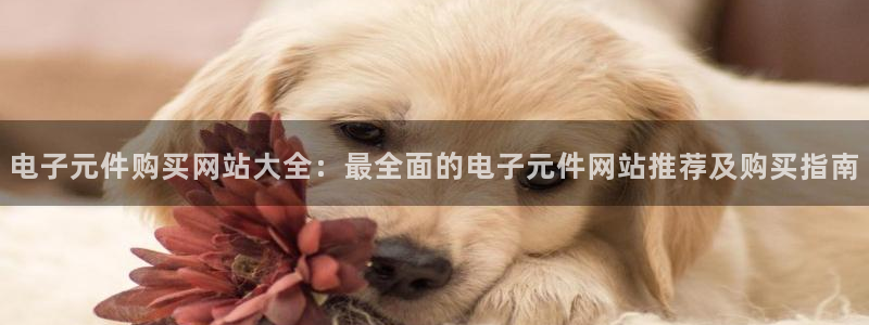 pg电子模拟器试玩在线苹果：电子元件购买网站大全：最全面的电子元件网站推荐及购买