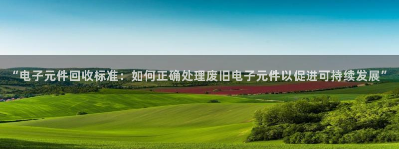 玩pg电子游戏哪个网站好点：“电子元件回收标准：如何正确处理废旧电子元件以促进可