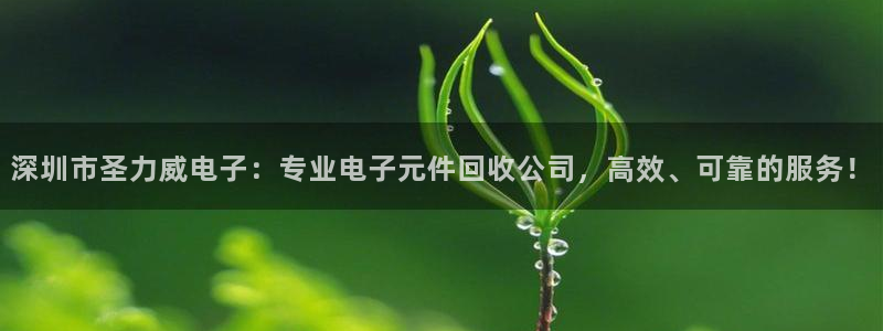 pg电子游戏app支付宝提现：深圳市圣力威电子：专业电子元件回收公司，高效、可靠