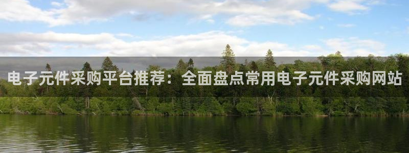 pg电子几点更新：电子元件采购平台推荐：全面盘点常用电子元件采购网站