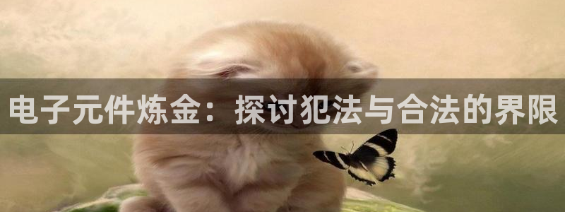 PG电子模拟器试玩版：电子元件炼金：探讨犯法与合法的界限