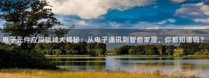 试玩pg电子平台下载：电子元件应用领域大揭秘：从电子通讯到智能家居，你都知道吗？