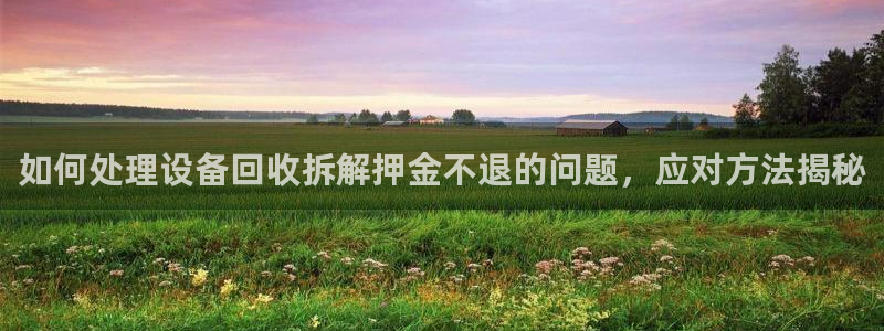 pg电子是不是可以操控：如何处理设备回收拆解押金不退的问题，应对方法揭秘