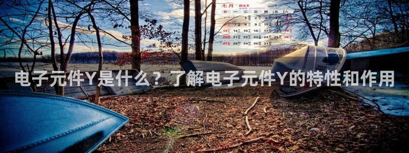 pg电子试玩版下载：电子元件Y是什么？了解电子元件Y的特性和作用