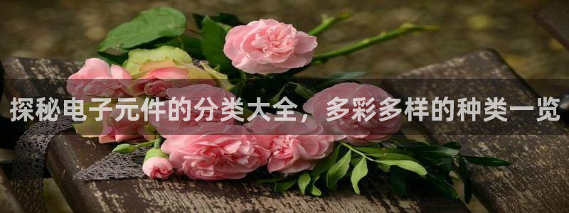 pg电子游戏体验模式网站是多少：探秘电子元件的分类大全，多彩多样的种类一览