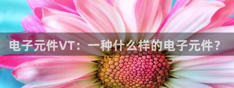 pg电子官方网站