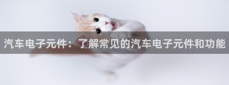 pg电子游戏体验版官网