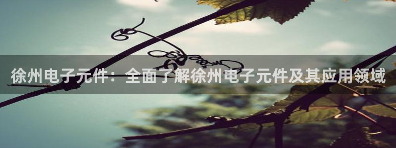 pg电子模拟器单机