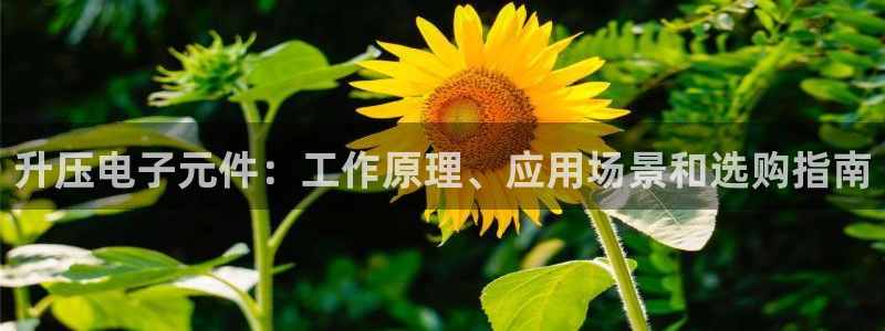 pg电子代理