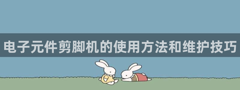 电子pg网站