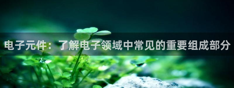 pg电子模拟器中文