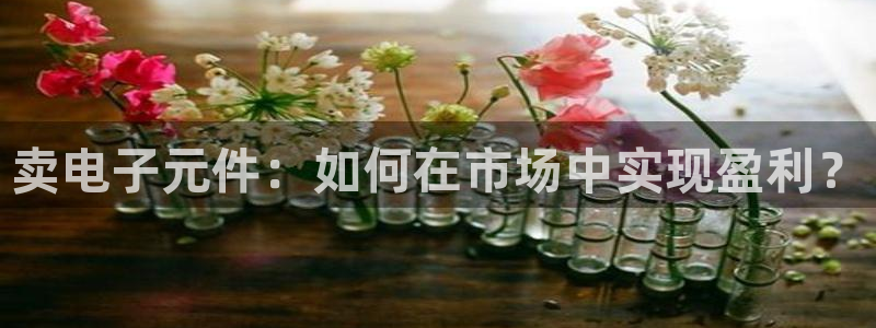 pg电子在哪玩