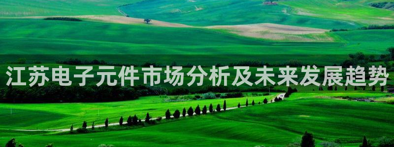 pg电子试玩是手机的还是电脑的