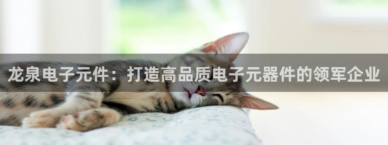 pg电子麻将胡了开挂