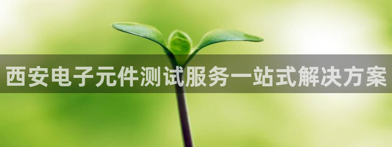 pg电子游戏官网app大全