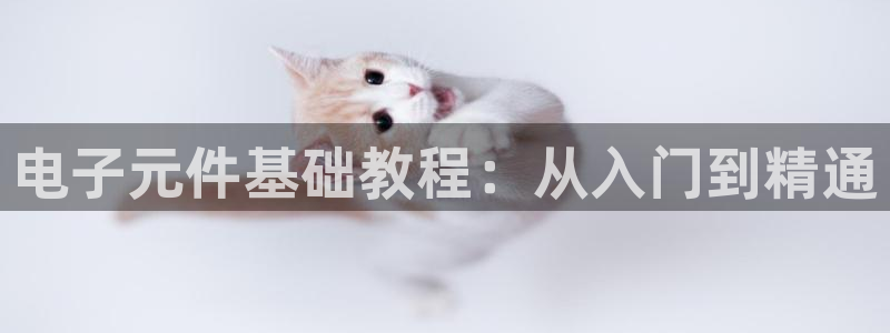 pg电子模拟器安卓版下载