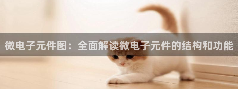 pg电子游戏平台官网