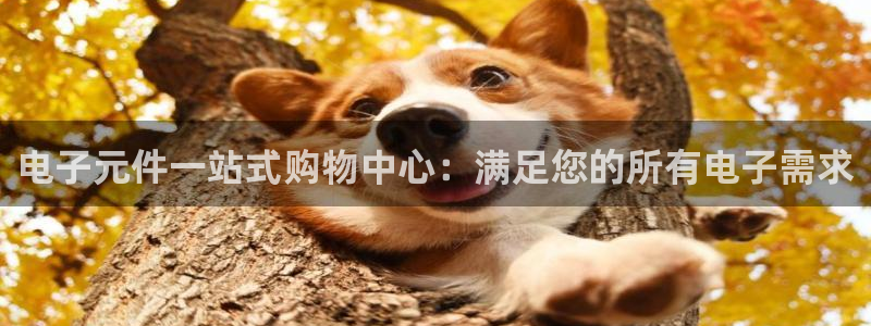 pg电子游戏注册