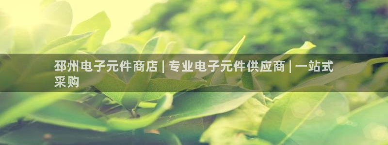 pg电子平台搭建