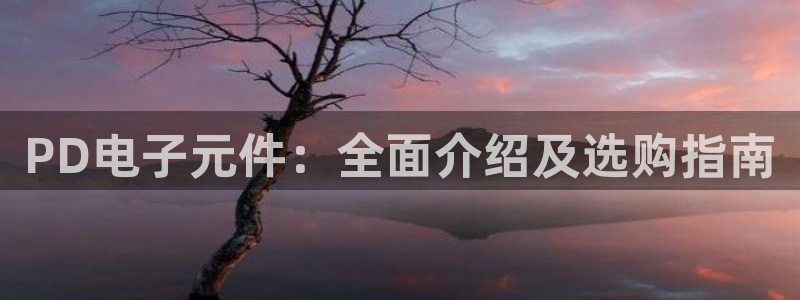 pg电子全名叫什么名字好听