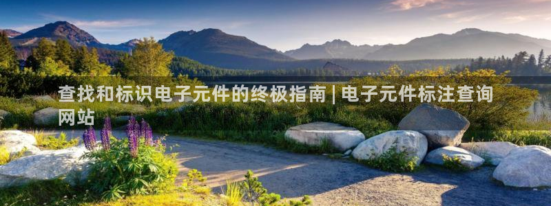 pg电子二维码