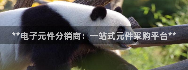 pg电子平台订ly79丶cn