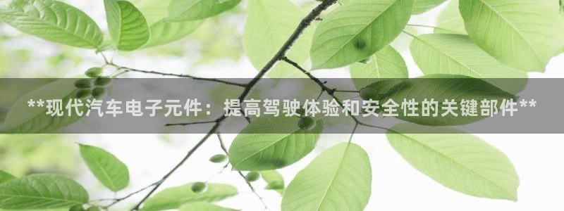 pg电子单机版