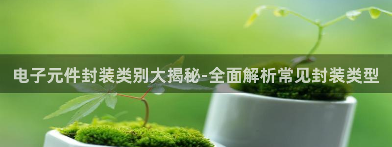 pg电子平台大全