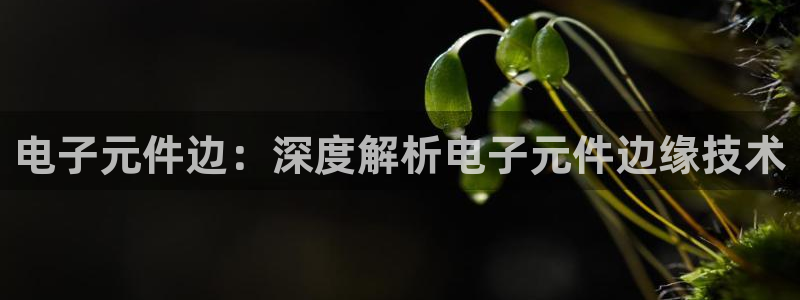 pg电子模拟器破解版网站推荐