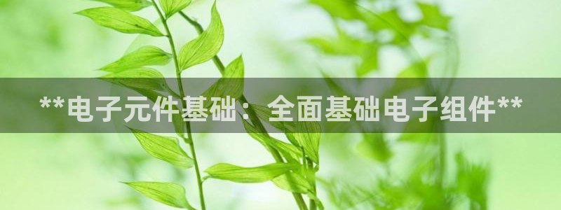 pg电子不凡成就非凡