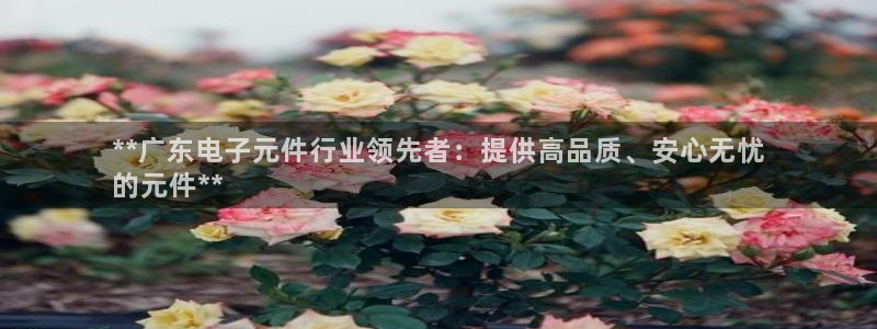 pg电子维护公告