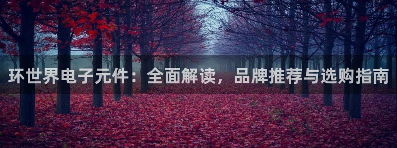 pg电子在线