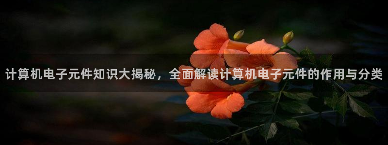 pg电子平台趟98db,in：计算机电子元件知识大揭秘，全面解读计算机电子元件的