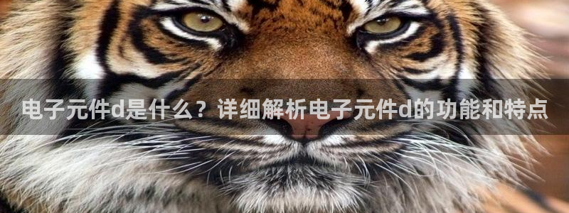 Pg电子游戏：电子元件d是什么？详细解析电子元件d的功能和特点