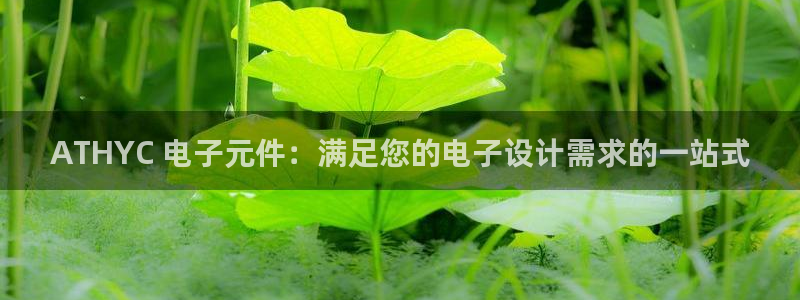 pg电子游戏模拟器免费网页版：ATHYC 电子元件：满足您的电子设计需求的一站式