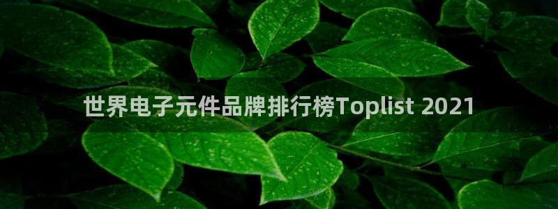 pg电子网站游戏：世界电子元件品牌排行榜Toplist 2021